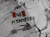 Tambura-081 CAI148-CrestaTambura