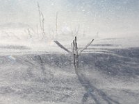 Neve e vento-130