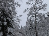 Nevicata-004