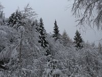 Nevicata-006