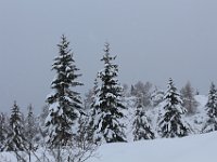 Nevicata-021