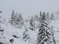 Nevicata-045