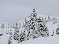 Nevicata-050