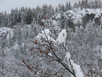 Nevicata-056