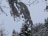 Nevicata-058