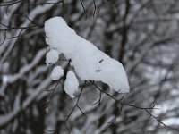 Nevicata-060