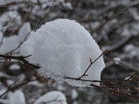 Nevicata-069