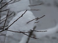 Nevicata-070