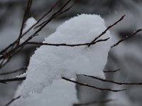 Nevicata-072