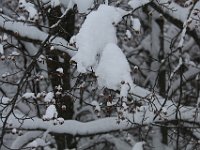 Nevicata-074