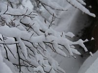 Nevicata-078