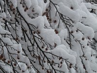 Nevicata-081