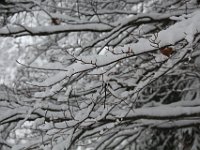 Nevicata-084