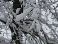 Nevicata-086