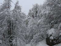 Nevicata-088