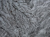 Nevicata-089