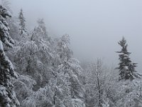 Nevicata-098