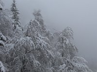 Nevicata-099