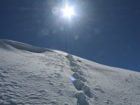Spitzhorli-114  Passi nella neve al sole