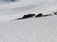 Spitzhorli-185  la neve lucente e purtroppo bagnata