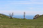 AVML-Tappa9-12-605