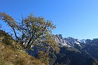 Sileggio-Croce-017