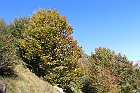 Sileggio-Croce-034
