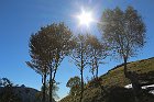 Sileggio-Croce-063