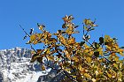 Sileggio-Croce-064
