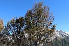 Sileggio-Croce-069