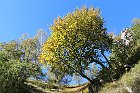 Sileggio-Croce-081