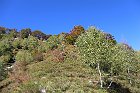 Sileggio-Croce-101