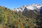 Sileggio-Croce-107