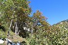 Sileggio-Croce-119