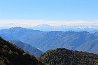 Sileggio-Croce-152