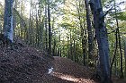 Sileggio-Croce-170