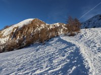 Grassi-Foppabrona-Biandino-084
