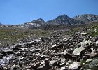 Paradisin-019