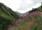 LagoDelMonte-024