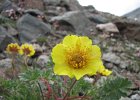 LagoDelMonte-088-AmbrettaStrisciante