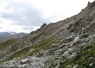 RoccetteDiCassana-121-AntillisVulneraria