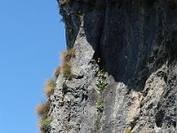 FerrataCoren-032