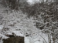 Nevicata-001