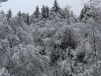 Nevicata-005