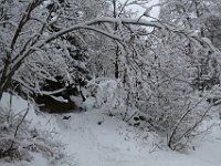 Nevicata-009