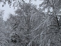 Nevicata-010
