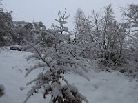 Nevicata-011