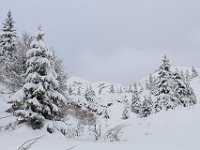 Nevicata-049
