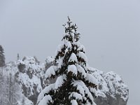 Nevicata-057