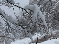 Nevicata-063